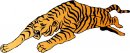 animali/tigre/tigre_118.jpg