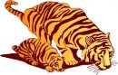animali/tigre/tigre_119.jpg