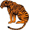 animali/tigre/tigre_120.jpg