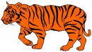 animali/tigre/tigre_135.jpg