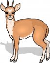 animali/vari/clipart_animali_vari_01.jpg