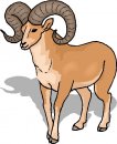 animali/vari/clipart_animali_vari_02.jpg