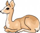 animali/vari/clipart_animali_vari_03.jpg