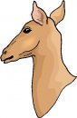 animali/vari/clipart_animali_vari_08.jpg