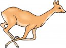 animali/vari/clipart_animali_vari_09.jpg