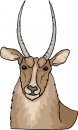 animali/vari/clipart_animali_vari_10.jpg