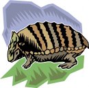 animali/vari/clipart_animali_vari_103.jpg