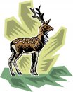 animali/vari/clipart_animali_vari_120.jpg