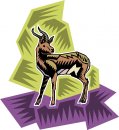 animali/vari/clipart_animali_vari_173.jpg