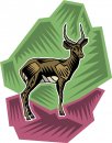 animali/vari/clipart_animali_vari_174.jpg