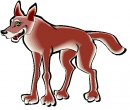 animali/vari/clipart_animali_vari_192.jpg