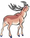 animali/vari/clipart_animali_vari_195.jpg