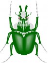 animali/vari/clipart_animali_vari_205.jpg