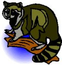 animali/vari/clipart_animali_vari_224.jpg