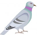 animali/vari/clipart_animali_vari_241.jpg