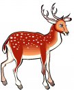 animali/vari/clipart_animali_vari_257.jpg