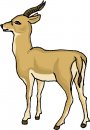 animali/vari/clipart_animali_vari_26.jpg