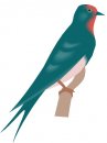 animali/vari/clipart_animali_vari_260.jpg