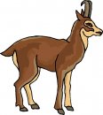 animali/vari/clipart_animali_vari_27.jpg