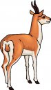 animali/vari/clipart_animali_vari_28.jpg