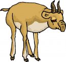 animali/vari/clipart_animali_vari_29.jpg