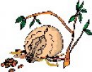 animali/vari/clipart_animali_vari_32.jpg