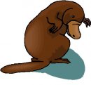 animali/vari/clipart_animali_vari_34.jpg