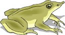 animali/vari/clipart_animali_vari_37.jpg