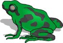 animali/vari/clipart_animali_vari_40.jpg