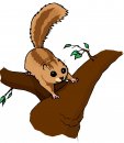 animali/vari/clipart_animali_vari_41.jpg