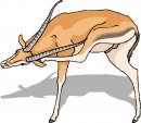 animali/vari/clipart_animali_vari_43.jpg