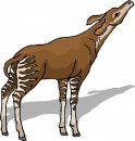 animali/vari/clipart_animali_vari_44.jpg