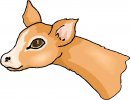 animali/vari/clipart_animali_vari_48.jpg