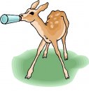 animali/vari/clipart_animali_vari_55.jpg