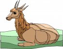 animali/vari/clipart_animali_vari_61.jpg