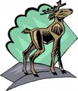 animali/vari/clipart_animali_vari_67.jpg