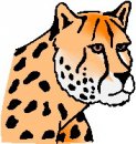 animali/vari_felini/clipart_felini_vari_57.jpg