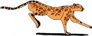 animali/vari_felini/clipart_felini_vari_62.jpg