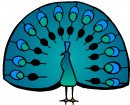 animali/vari_volatili/clipart_volatili_vari_05.jpg