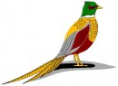 animali/vari_volatili/clipart_volatili_vari_63.jpg