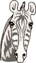 animali/zebra/zebra01.jpg