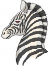 animali/zebra/zebra02.jpg
