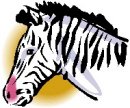 animali/zebra/zebra04.jpg