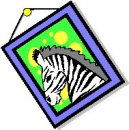 animali/zebra/zebra07.jpg