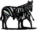 animali/zebra/zebra11.jpg