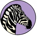 animali/zebra/zebra12.jpg