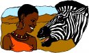 animali/zebra/zebra17.jpg