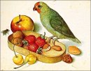 arte/quadri_famosi/Flegel__Still_Life_with_Pygmy_Parrot.jpg