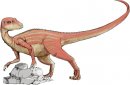 cartoni_animati/dinosauri/abrictosaurus.jpg