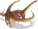 cartoni_animati/dinosauri/alamosaurus.jpg